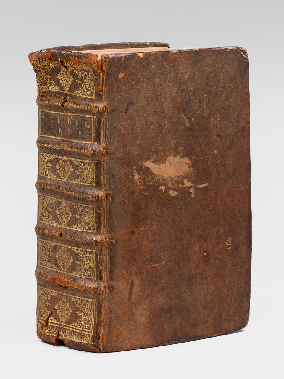 La vie de la Sainte Mère Térèse de Jesus, Fondatrice … | Immagine principale