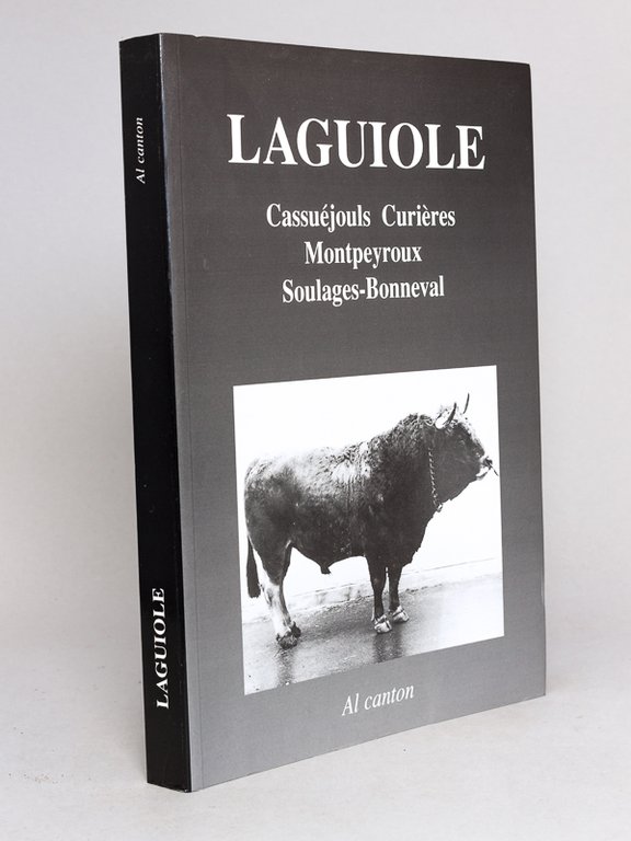 Laguiole. Cassuéjouls, Curières, Montpeyroux, Soulages-Bonneval - La Guiola Cassuéjols, Curieiras, … | Immagine Gallery 2