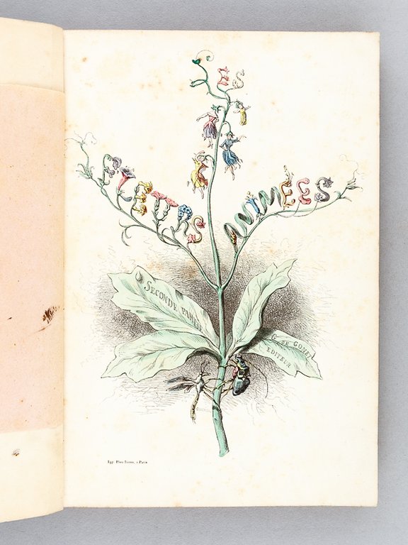 Les Fleurs Animées (2 Tomes - Complet)