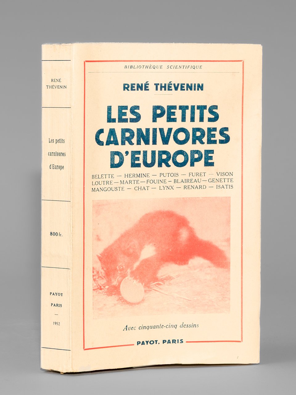 Les petits carnivores d'Europe. Belette, hermine, putois, furet, vison, loutre, …