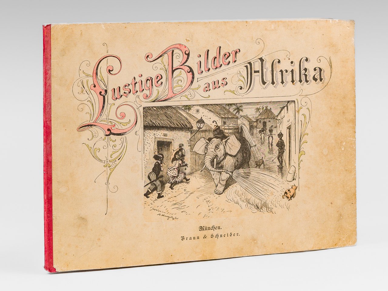 Lustige Bilder aus Afrika