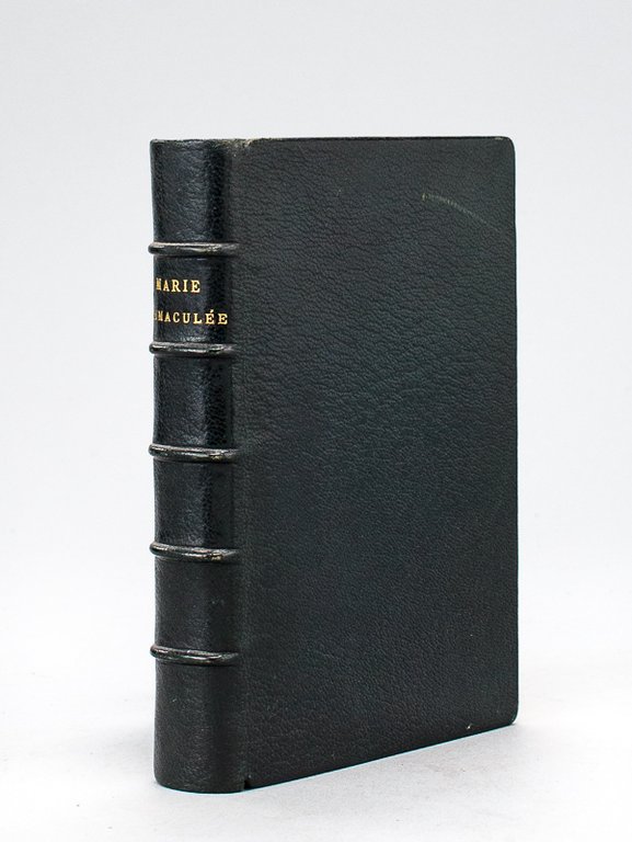 Marie Immaculée, Mère de Dieu