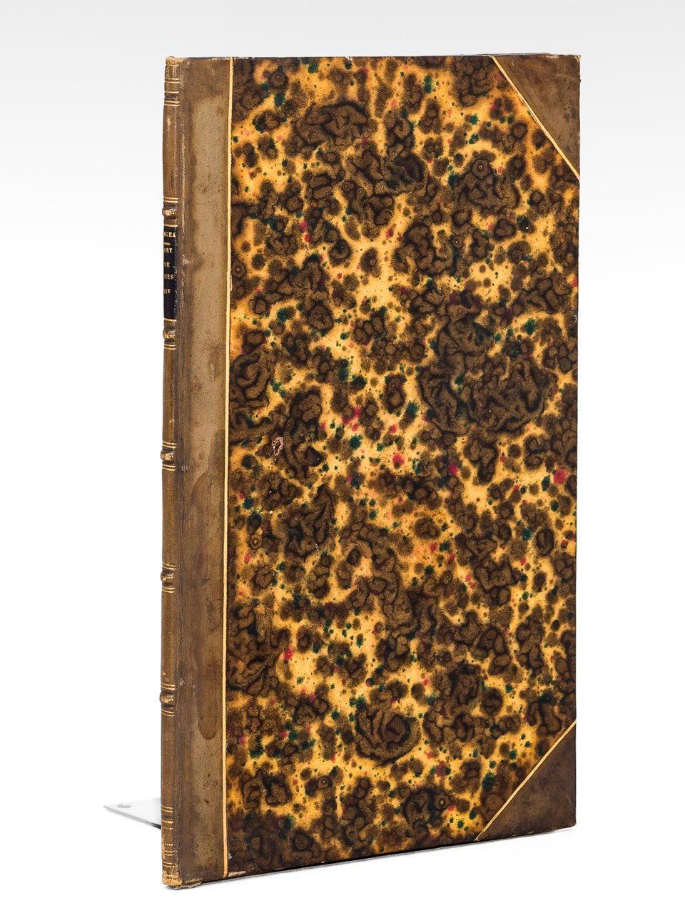 Mémoire sur la mort de Louis XIV