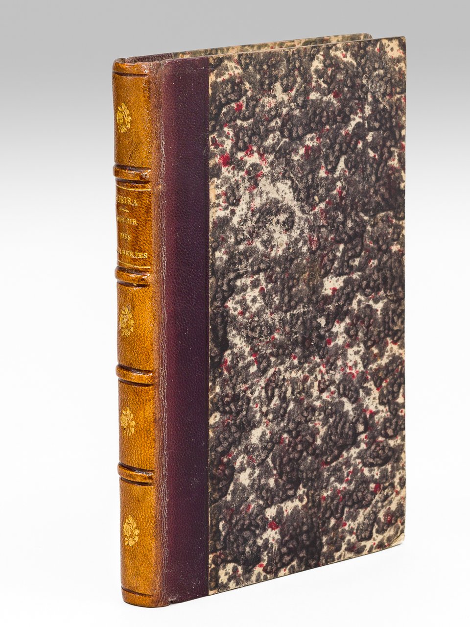 Miroir des Fourberies politiques, administratives et sociales. Roueries des voleurs … | Immagine principale