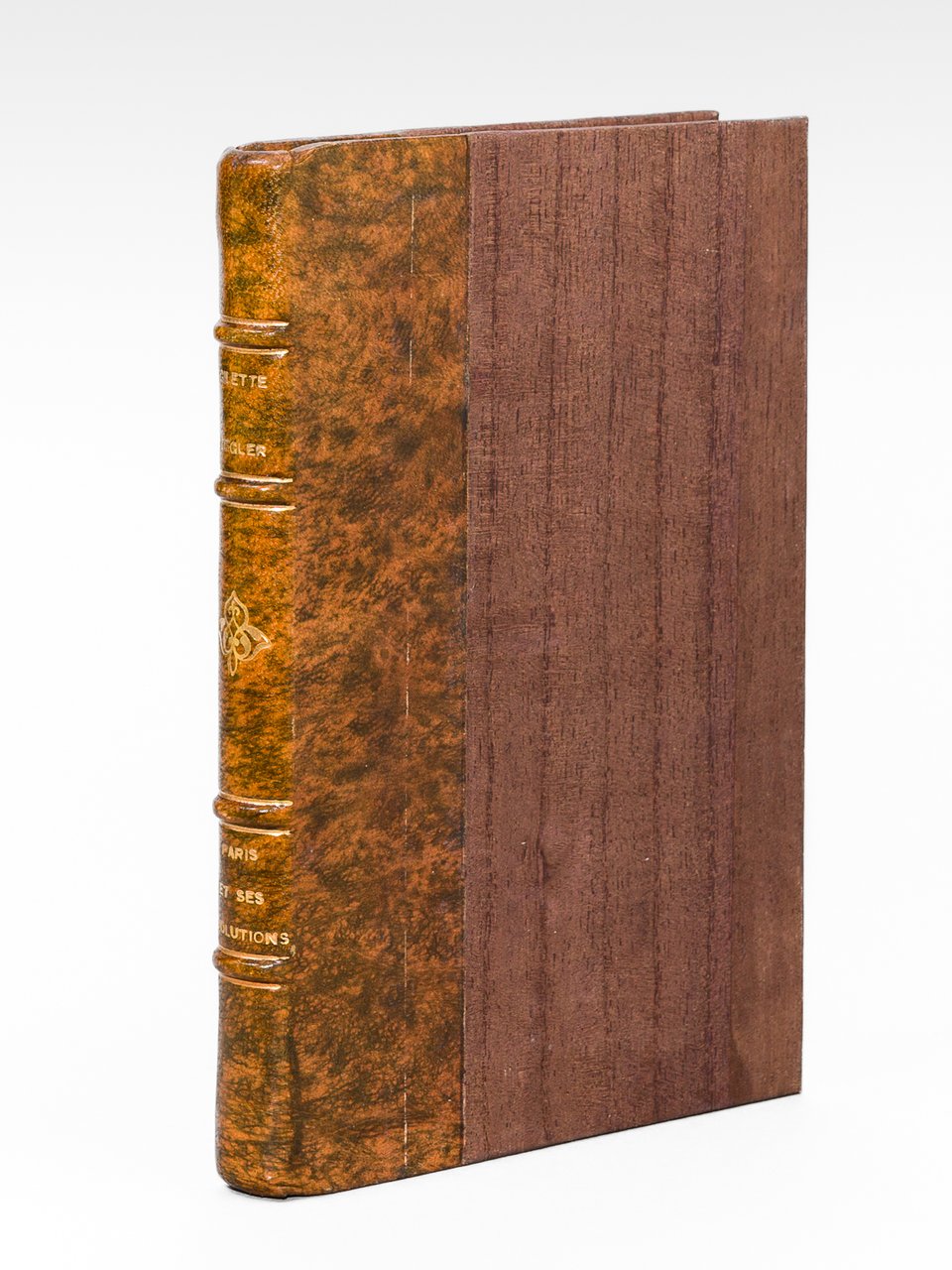 Paris et ses Révolutions.