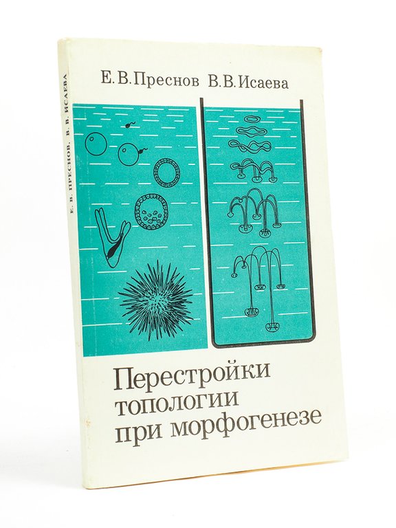 Perestrojki Topologii pri Morfogeneze [ Restructuring of the topology in … | Immagine Gallery 2