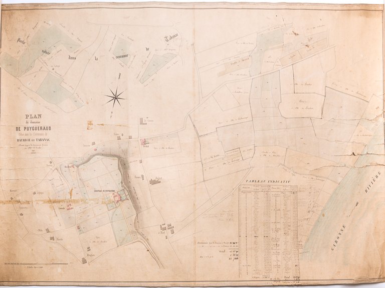 Plan manuscrit colorié du Domaine de Puygueraud situé dans les …