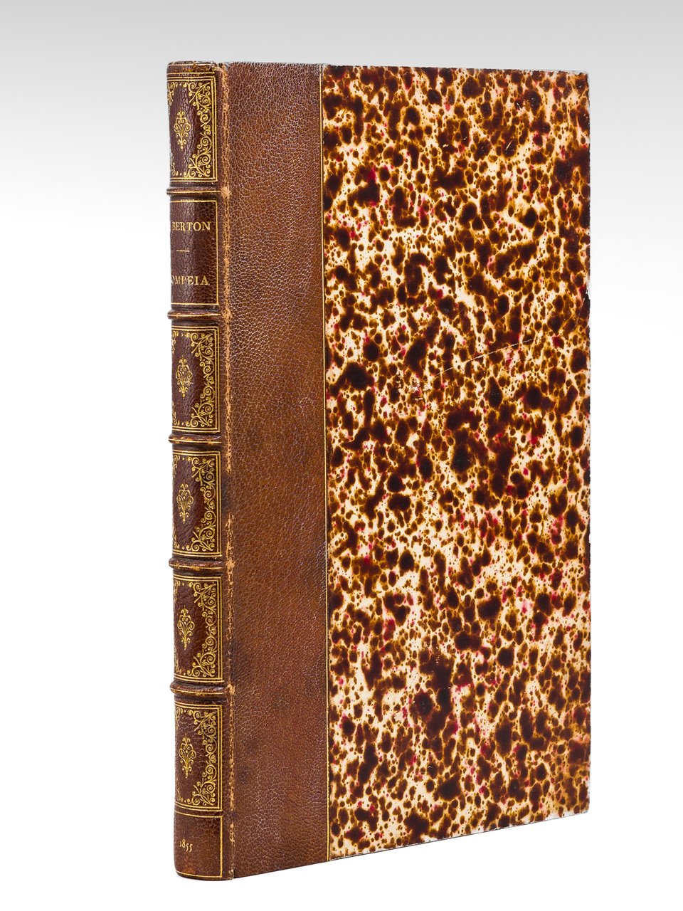 Pompeia décrite et dessinée par Ernest Breton, suivi d'une Notice …