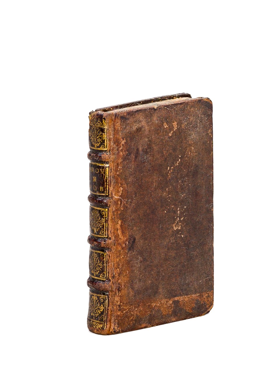 Proverbia Salomonis & Iob [ Salomon & Job ] ? …