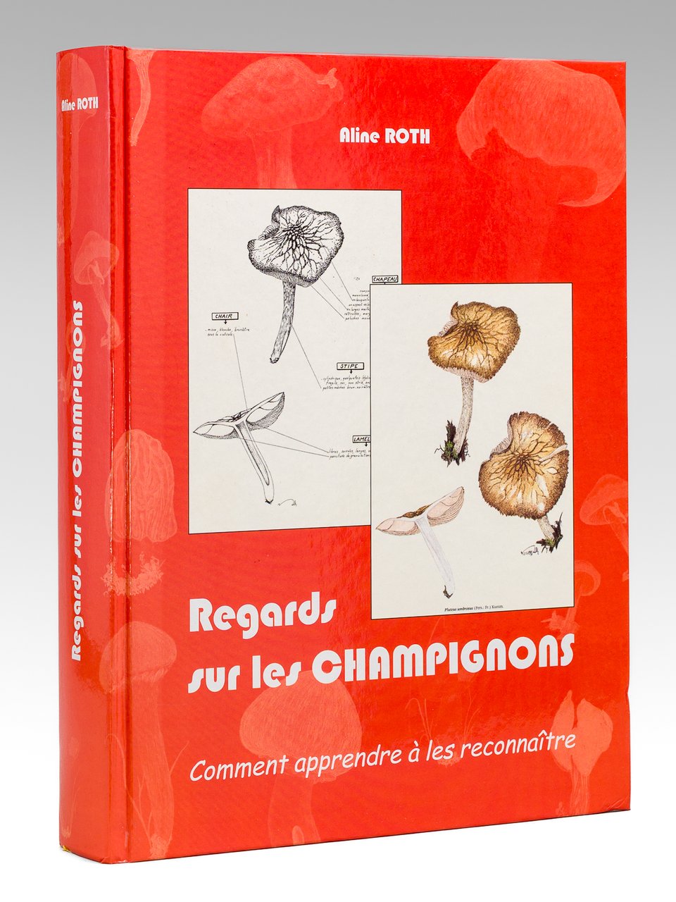Regards sur les Champignons. Comment apprendre à les reconnaître.