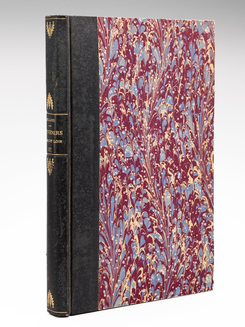 Souvenirs d'Eure-et-Loir. Eaux-fortes par P. Gillard, avec texte explicatif par …