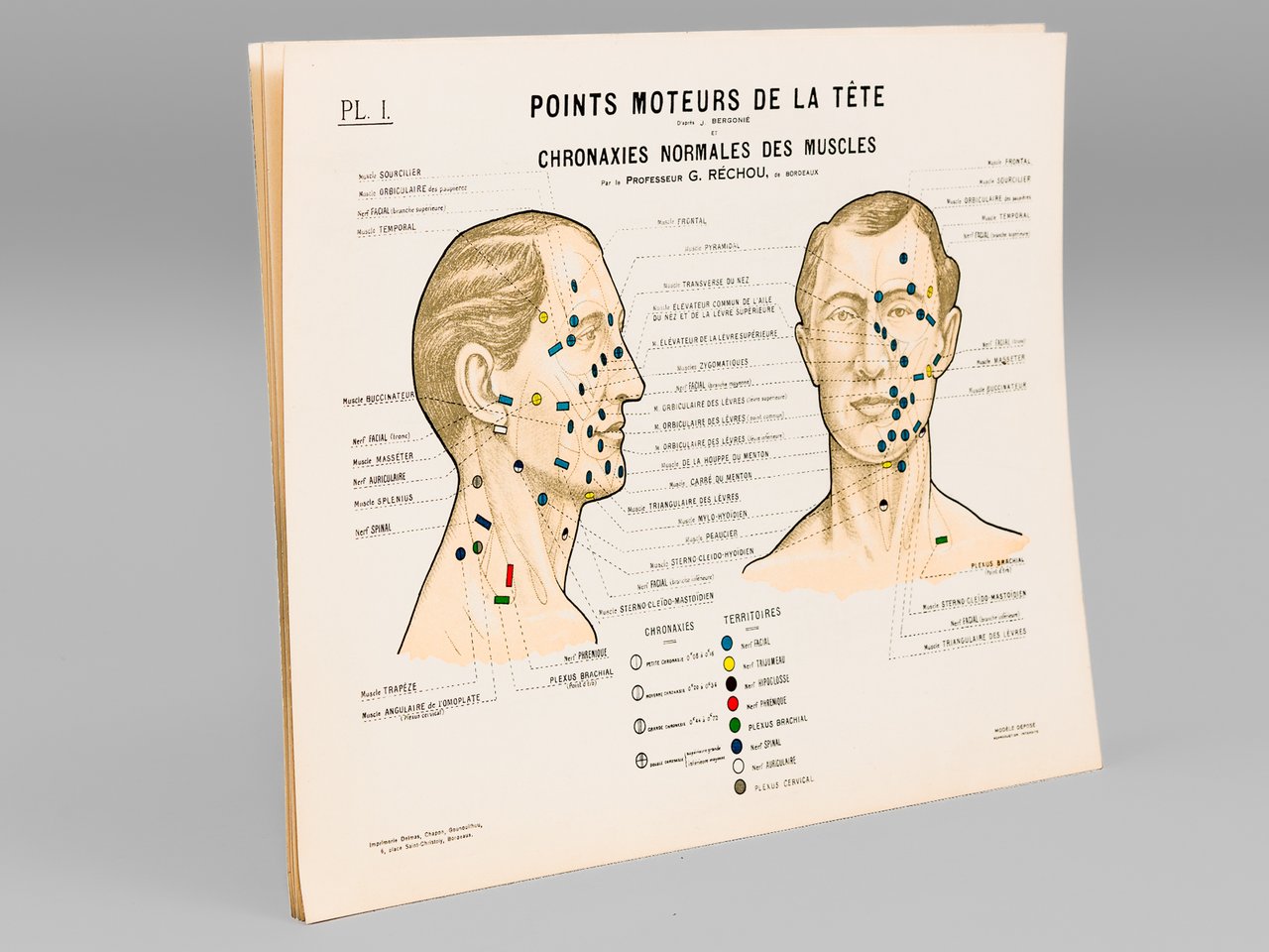 Tableaux des Points Moteurs d'après J. Bergonié et Chronaxies normales …