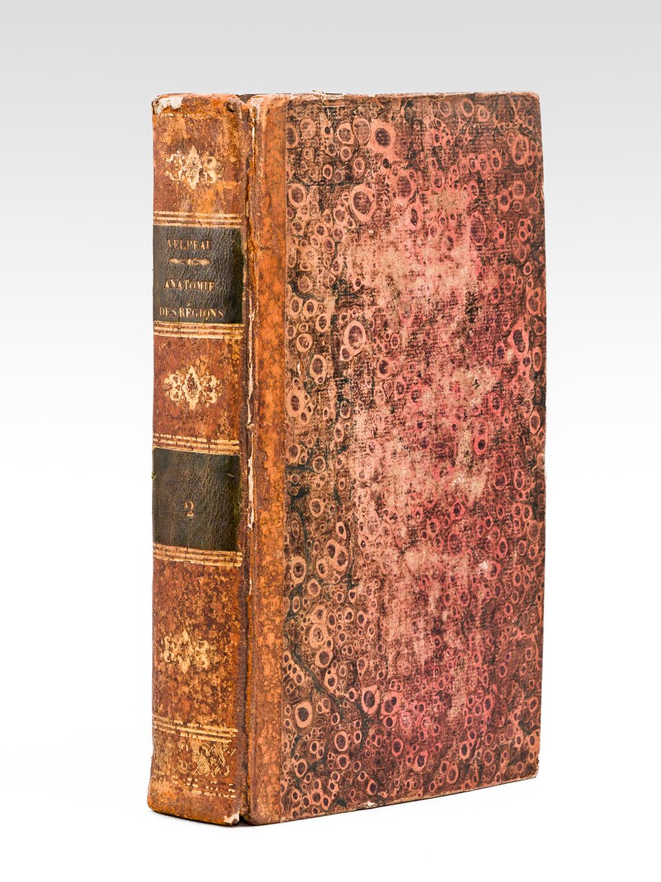 Traité d'anatomie chirurgicale ou anatomie des régions, considérée dans ses … | Immagine principale