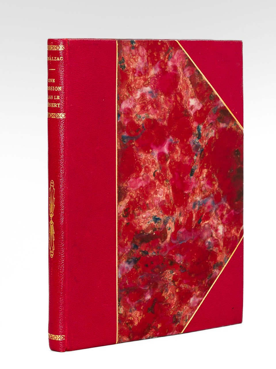 Une Passion dans le Désert