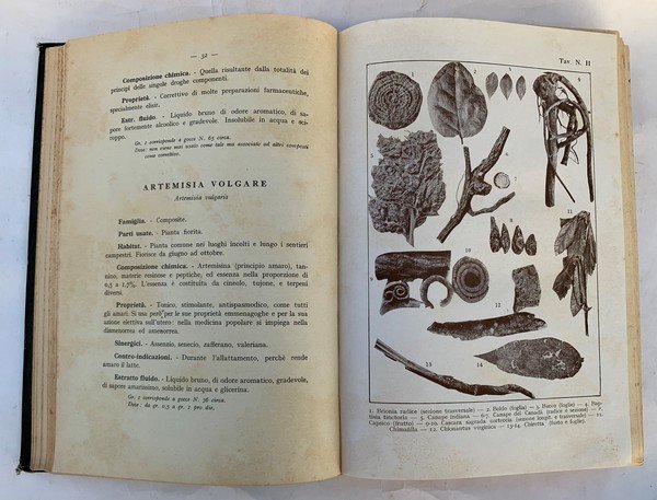 Piante medicinali e loro estratti in terapia