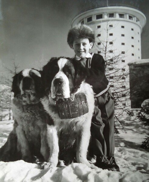 Sestriere ritratto con cani San Bernardo fine anni '50