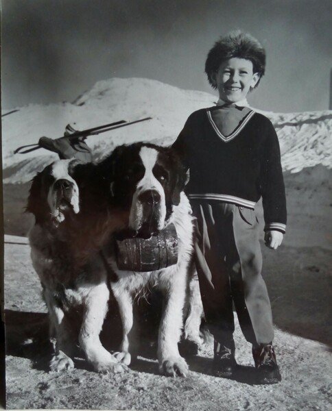 Fotografia originale Sestriere ritratto con cani s.Bernardo fine anni '50