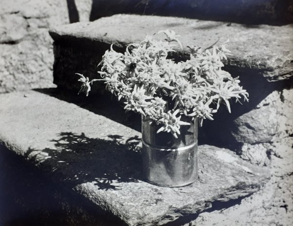 Fotografia ai sali d'argento fotografo amatoriale Calleri Probo anni '50