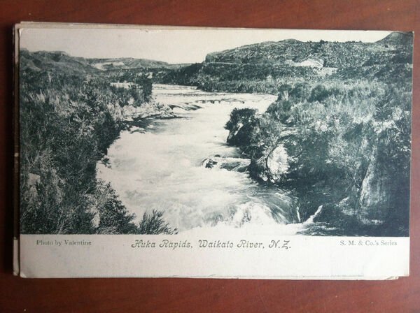 Cartolina inizi '900 New Zealand Waikato river Huka Rapids non …