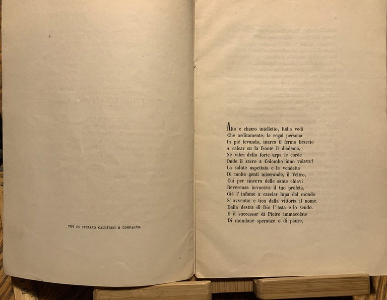 A Lorenzo Costa | Immagine Gallery 3