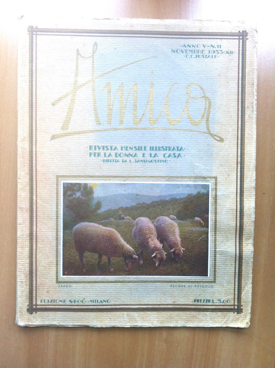 Amica Anno V n^ 11 Novembre 1933 - E16548