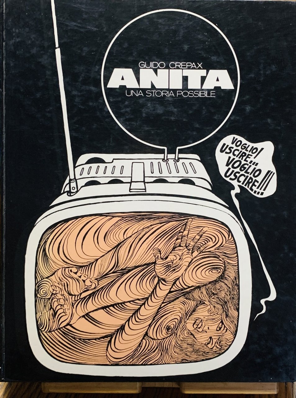 ANITA una storia possibile | Immagine principale