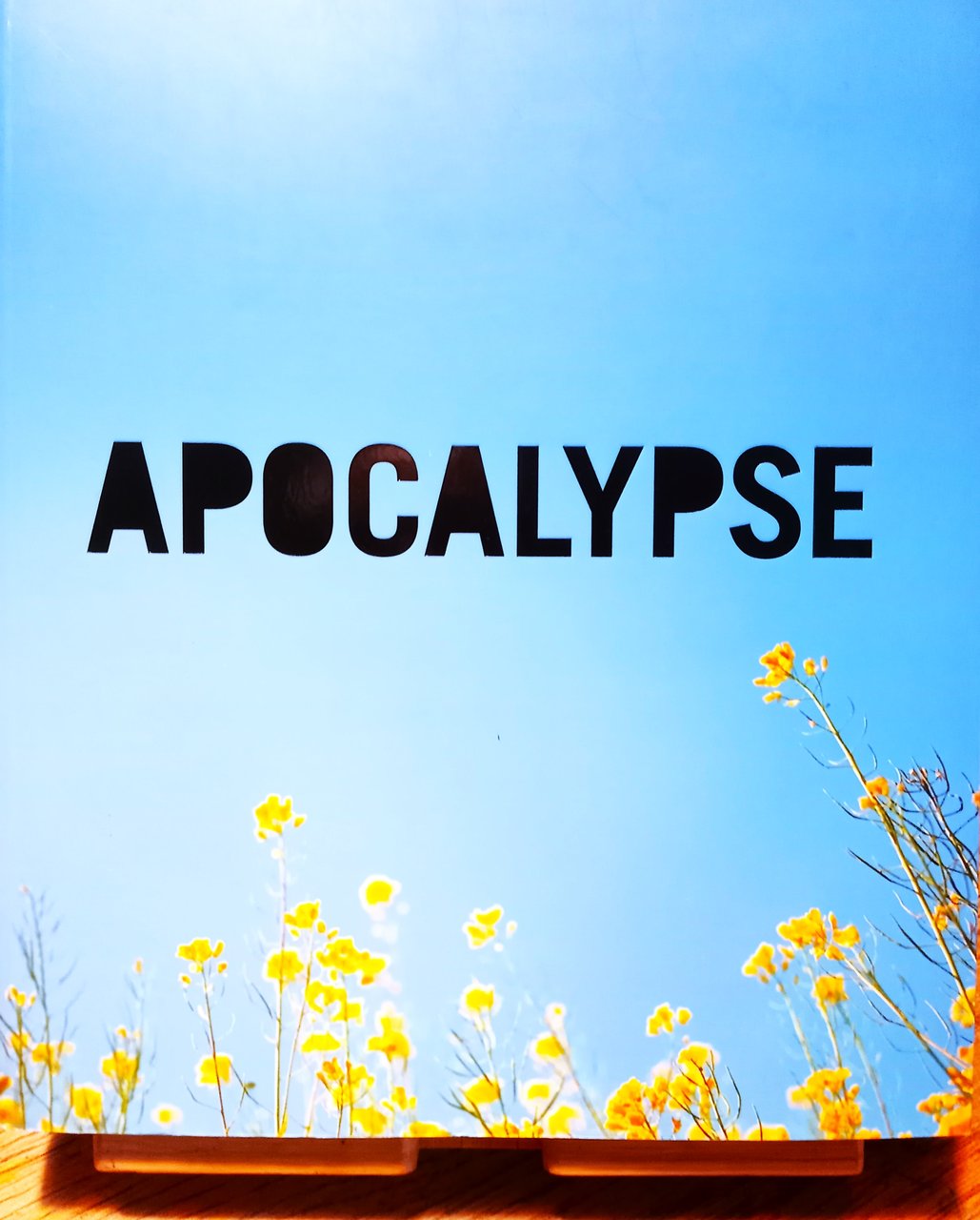 APOCALYPSE Beauty and horror in contemporary art