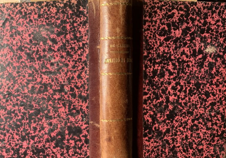 Arnaldo da Brescia e la rivoluzione romana del XII secolo | Immagine Gallery 2