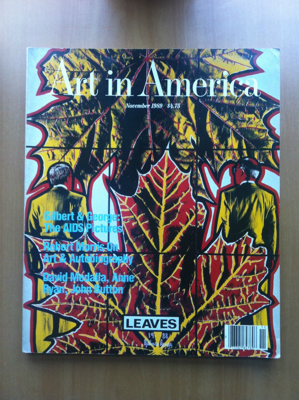 Art in America n^ 11 November 1989 Cover Gilbert &amp; …