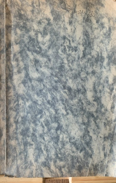 Atti della Società Colombaria di Firenze dall'Anno MDCCCXC al MCM …