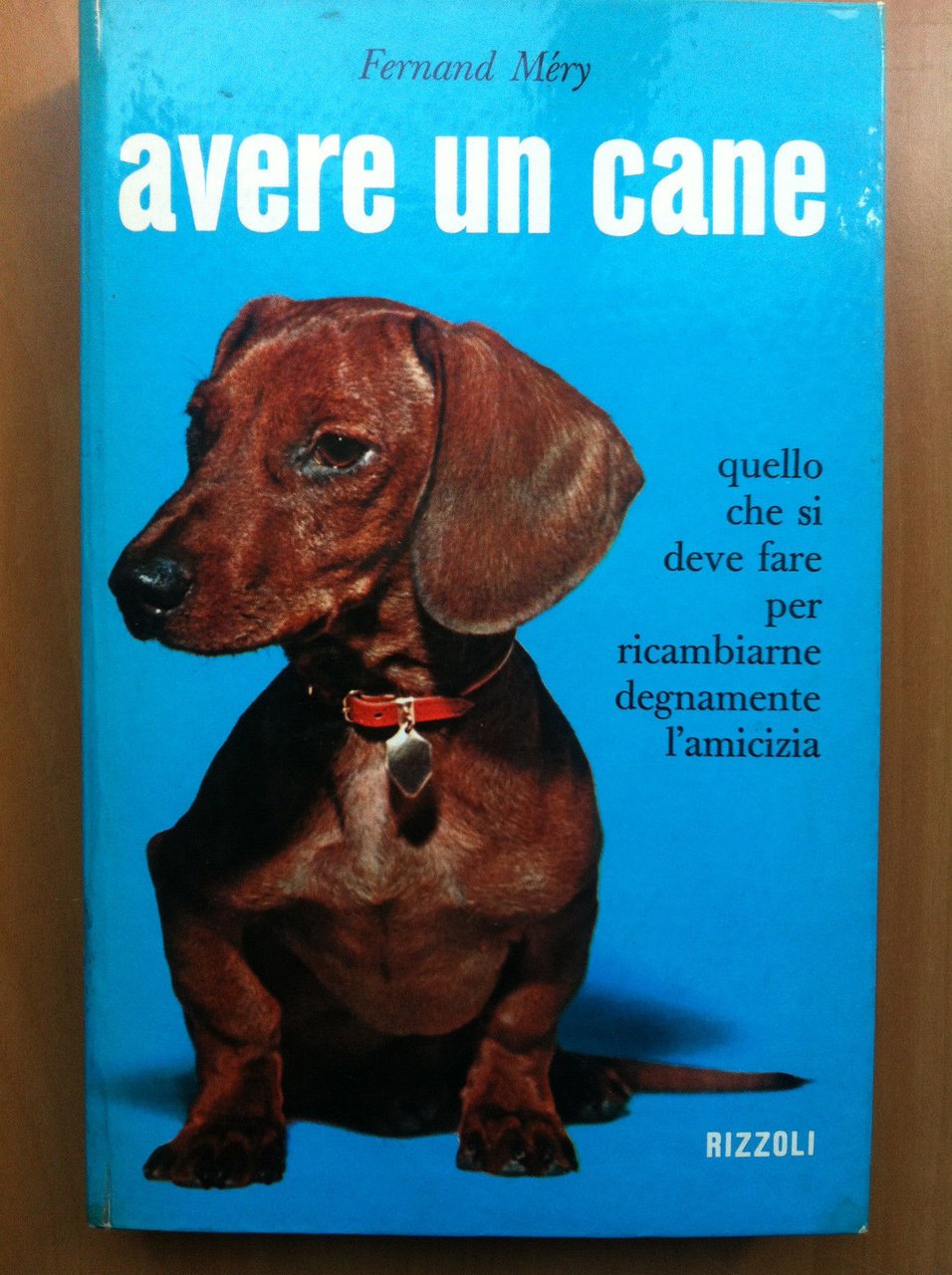 Avere un cane Fernand Méry Rizzoli 1959 - E14106