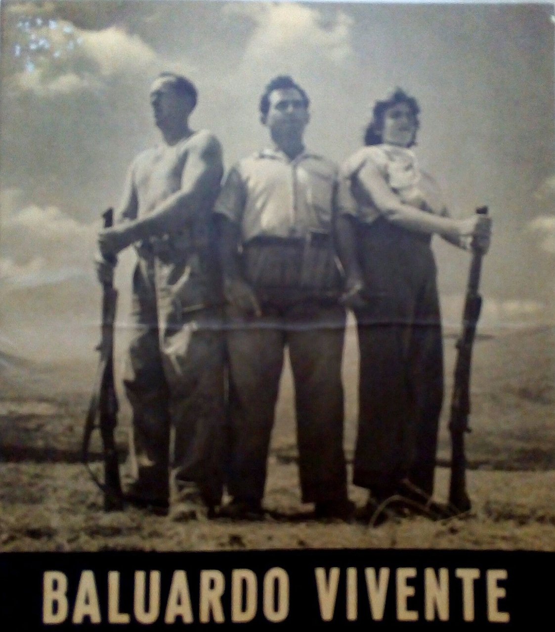 Baluardo vivente brossura senza pace le frontiere di Israele 1954