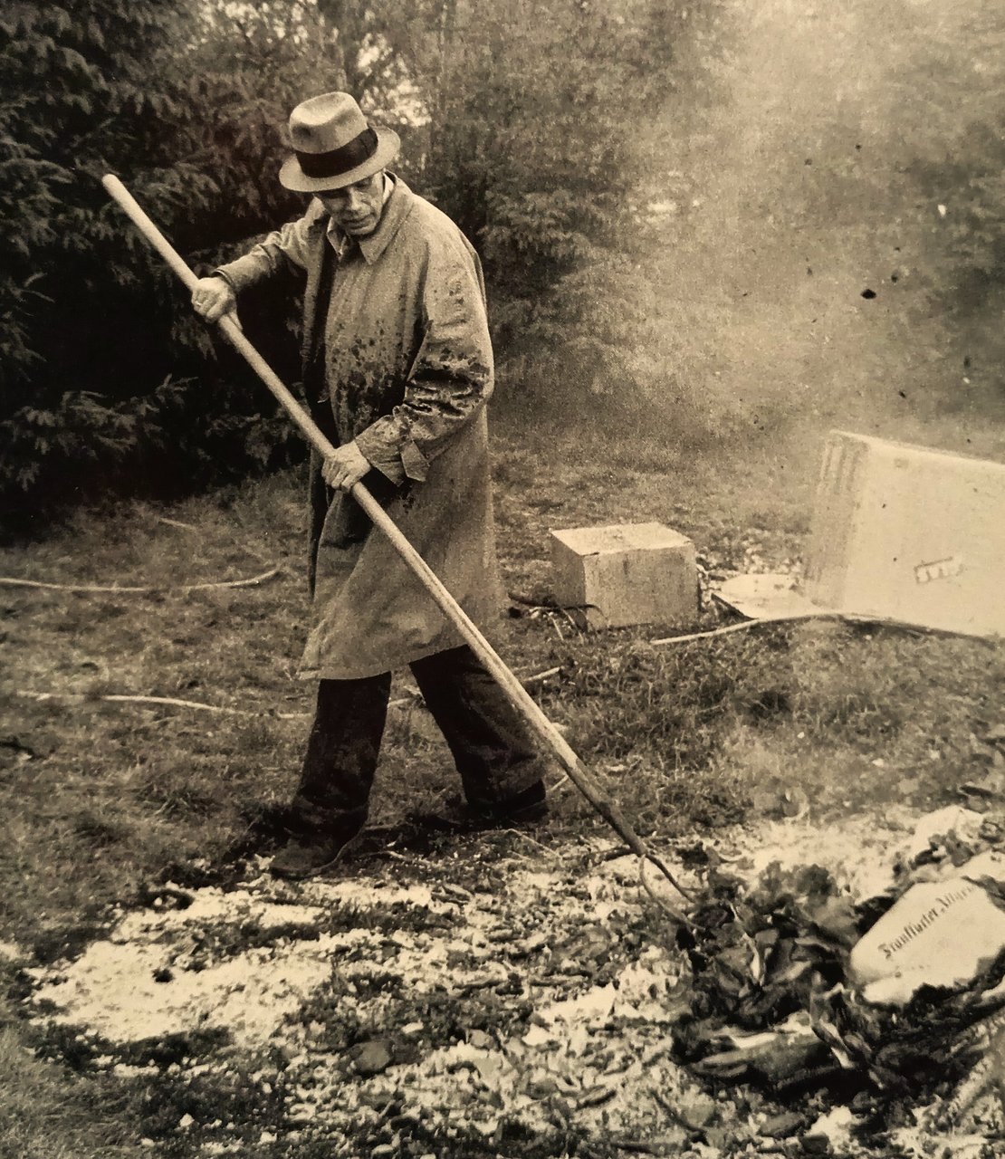 Beuys und die natur, die natur ist Beuys. Mit den …