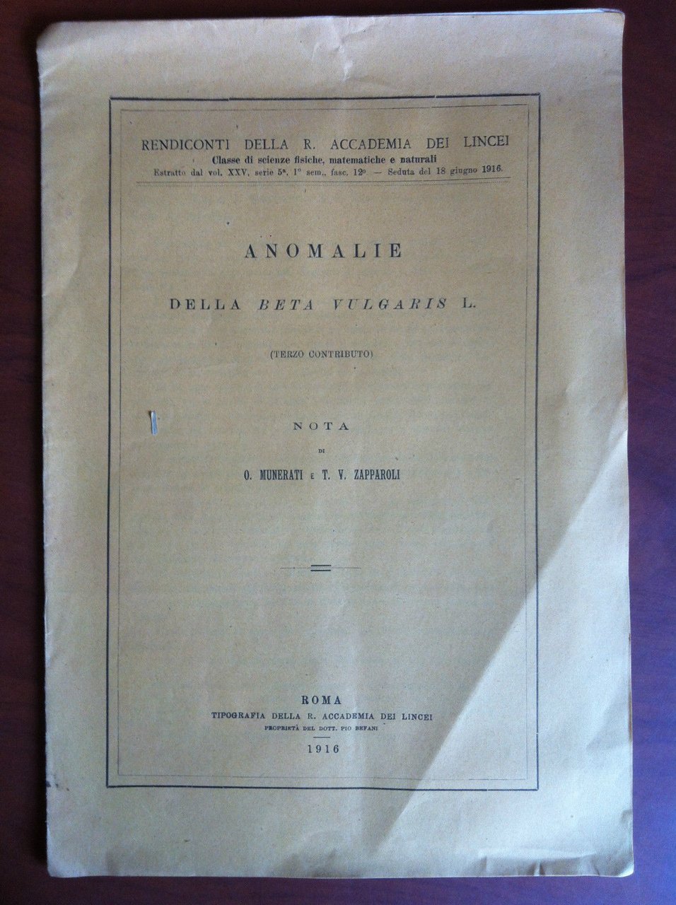 Brossura Anomalie della Beta Vulgaris L. 1916 - E17845