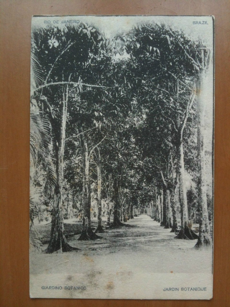 Cartolin/Bilhete Postal Brazil Rio de Janeiro - non viaggiata/no viajado | Immagine principale