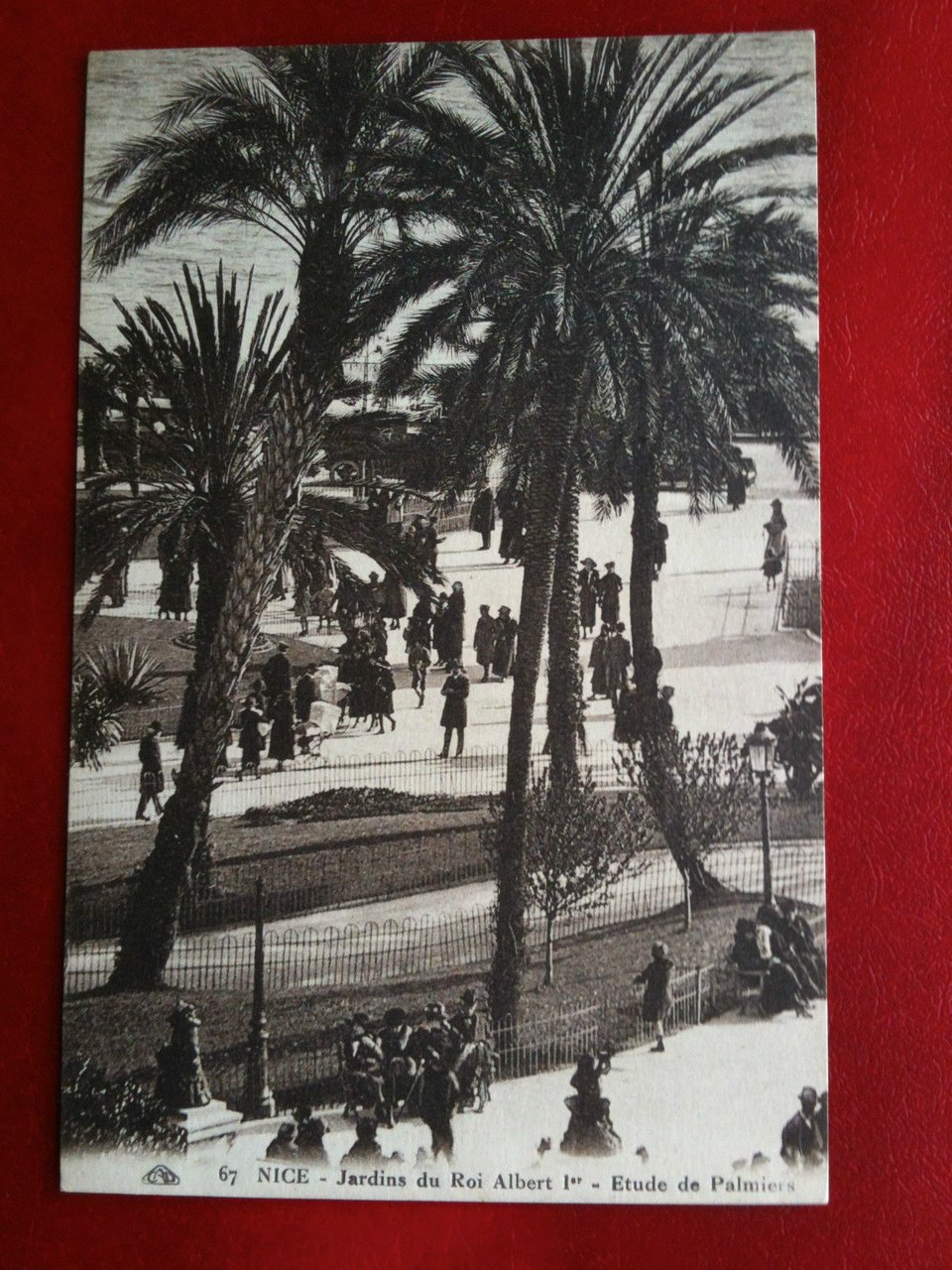 Cartolina/Carte postale inizi '900 Francia Nice Jardins Roi Albert non … | Immagine principale