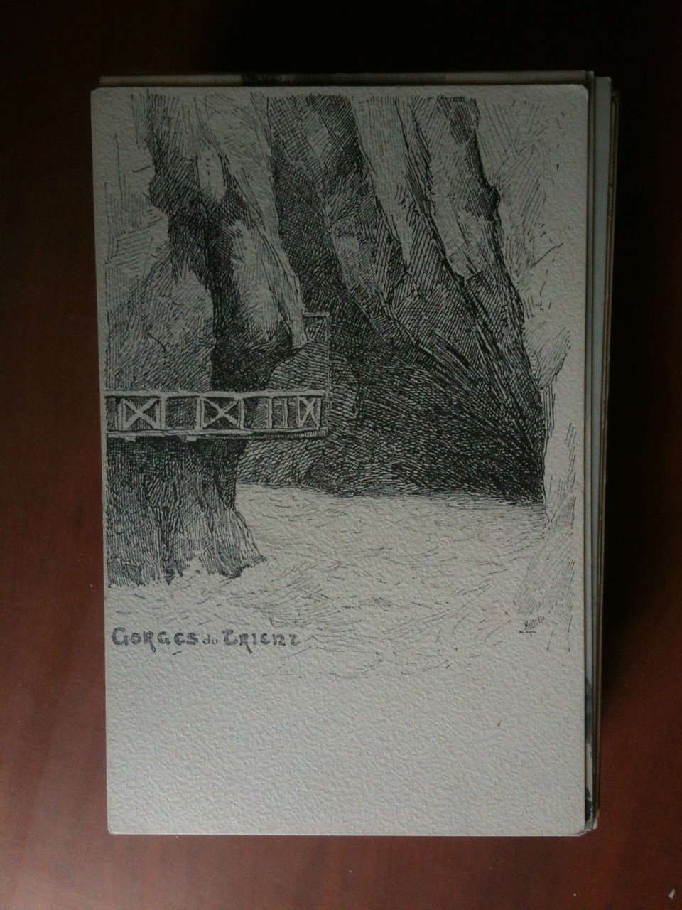 Cartolina/Carte postale inizi '900 Suisse Route du Trienz - non …