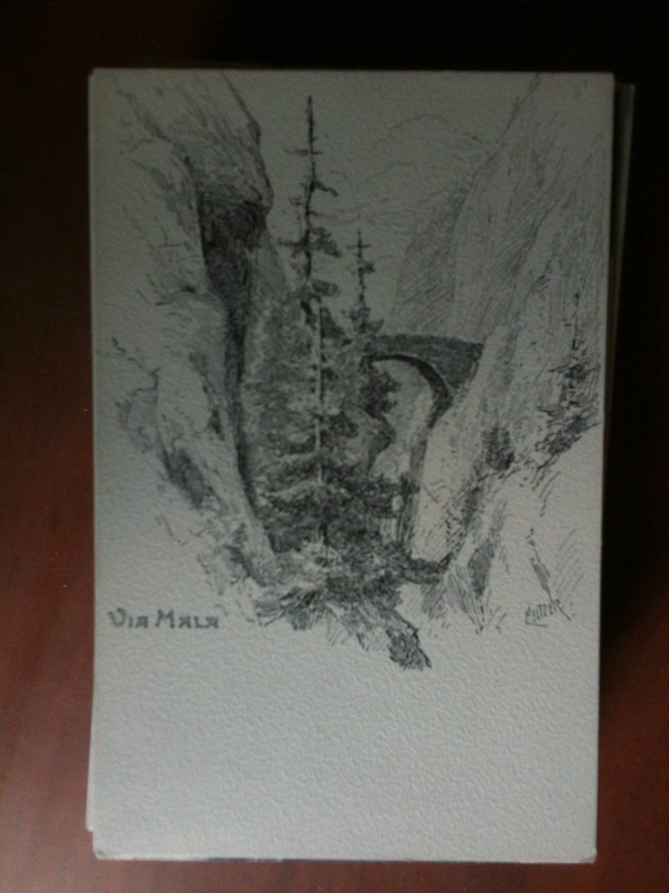 Cartolina/Carte postale inizi '900 Suisse Via Mala - non viaggata