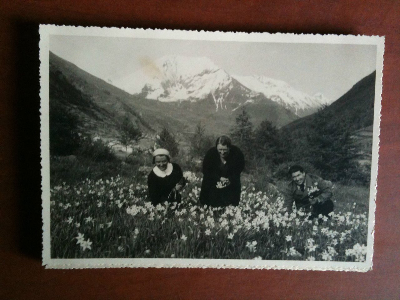 Cartolina fotografia vera anni '30 Donne e uomo colgono fiori …