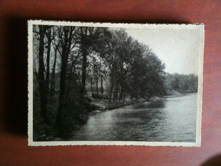 Cartolina fotografia vera anni '30 vista di fiume con alberi e casa