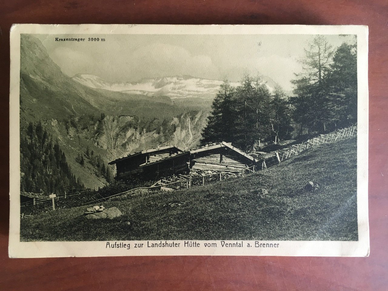 Cartolina inizi '900 Austria Centralkamm Zillerthaler Alpen Hochfeiler - E20752