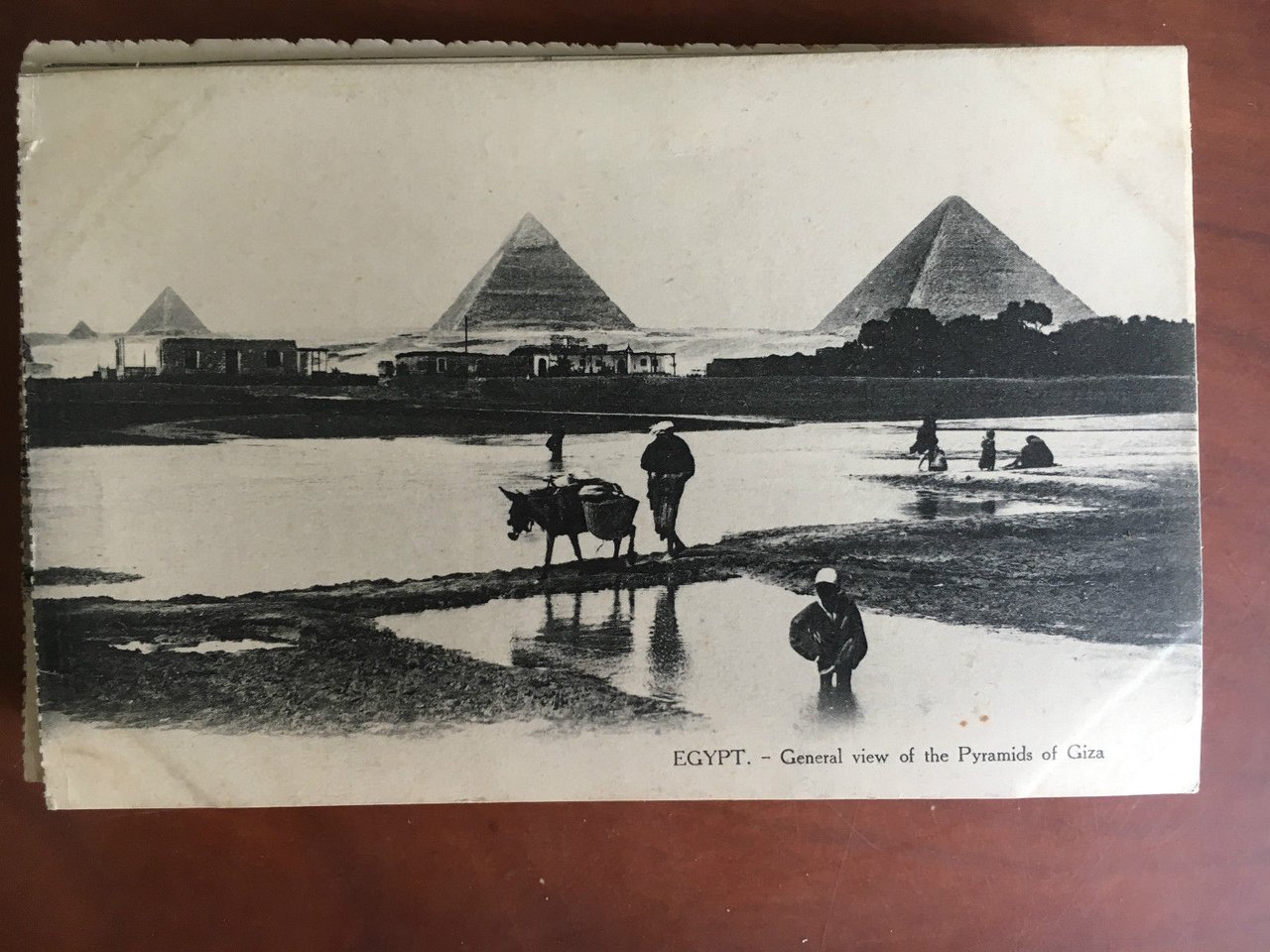 Cartolina inizi '900 Egitto piramidi di Giza - E20712