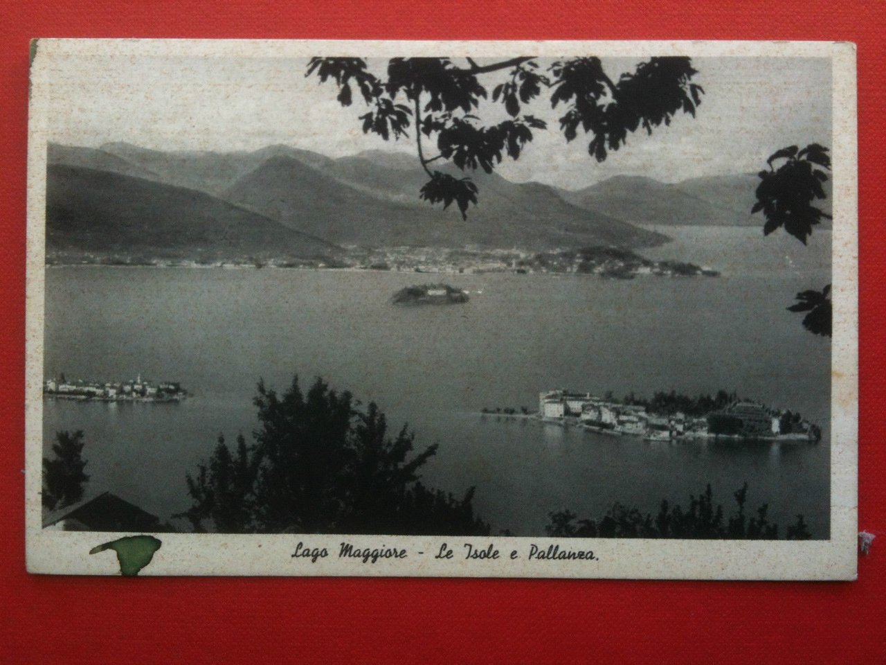 Cartolina inizi '900 Lago Maggiore Le isole e Pallanza - … | Immagine principale