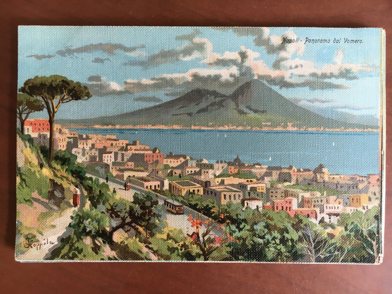 Cartolina inizi '900 Napoli Panorama dal Vomero - E20904