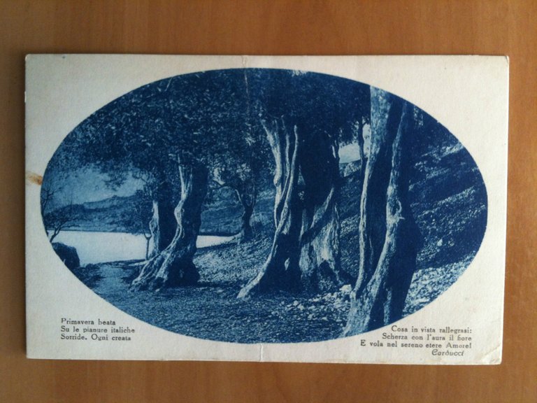 Cartolina inizi '900 Poesia Carducci illustraziione alberi  - non viaggiata