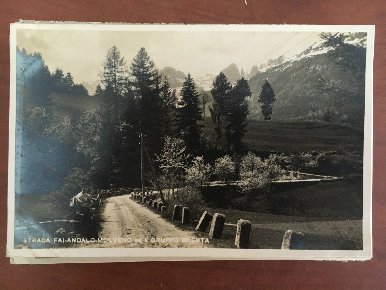 Cartolina inizi '900 Strada Fai Andalo Molveno Gruppo Brenta Trentino …