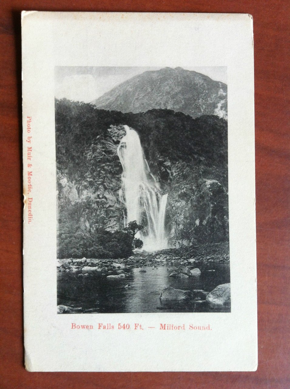 Cartolina Postcard early '900 New Zealand Milford - non viaggiata …