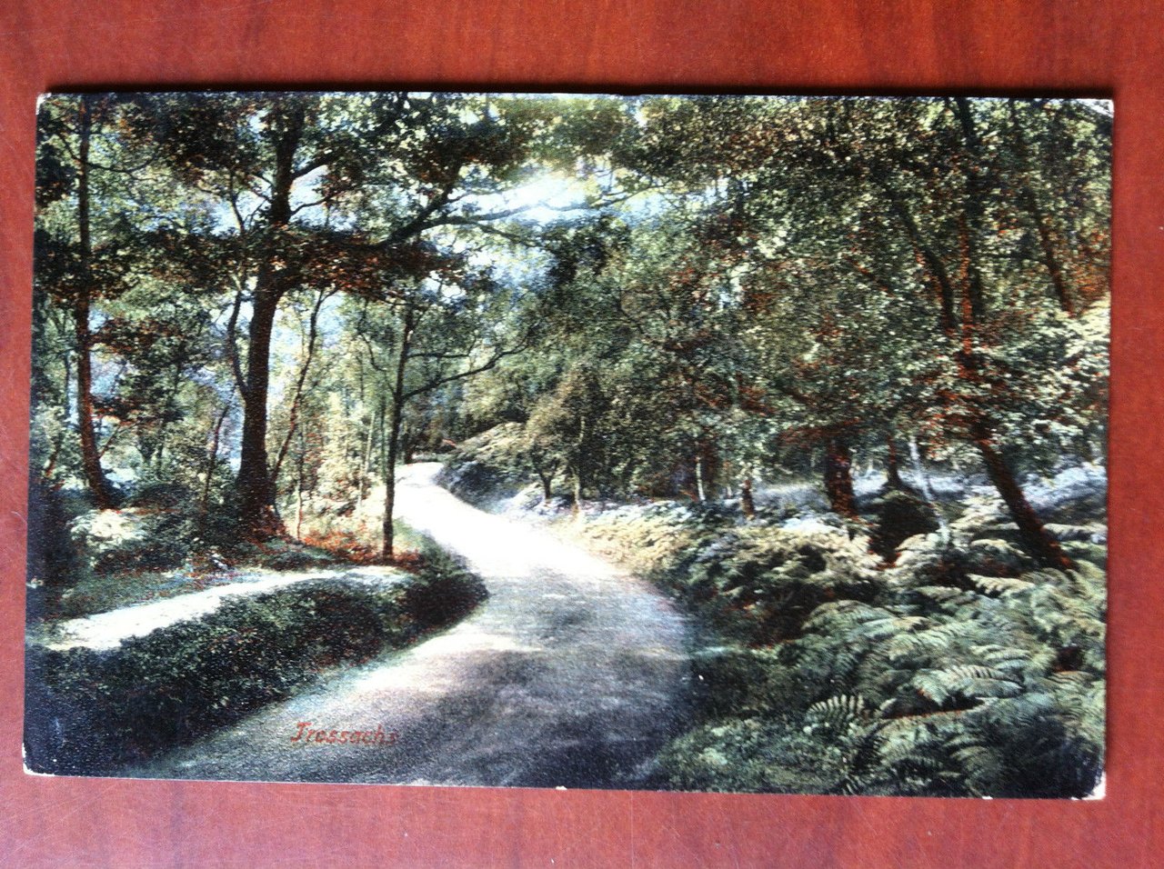 Cartolina Postcard early '900 UK Fressachs - non viaggiata - …