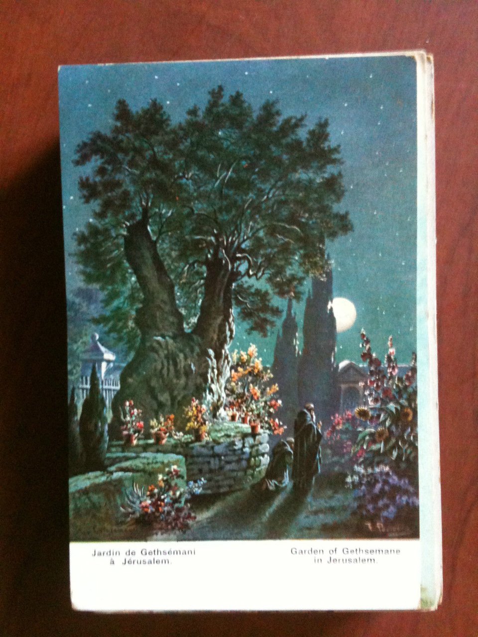 Cartolina Postcard inizi '900 Garden of Gethsemane in Jerusalem- non …