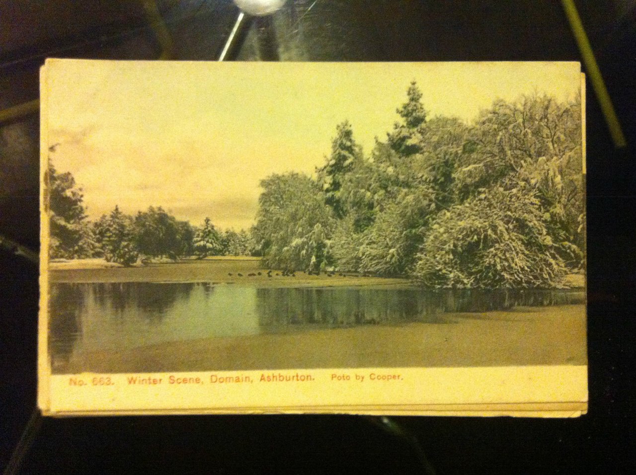 Cartolina Postcard inizi '900 New Zealand Ashburton - non viaggiata …